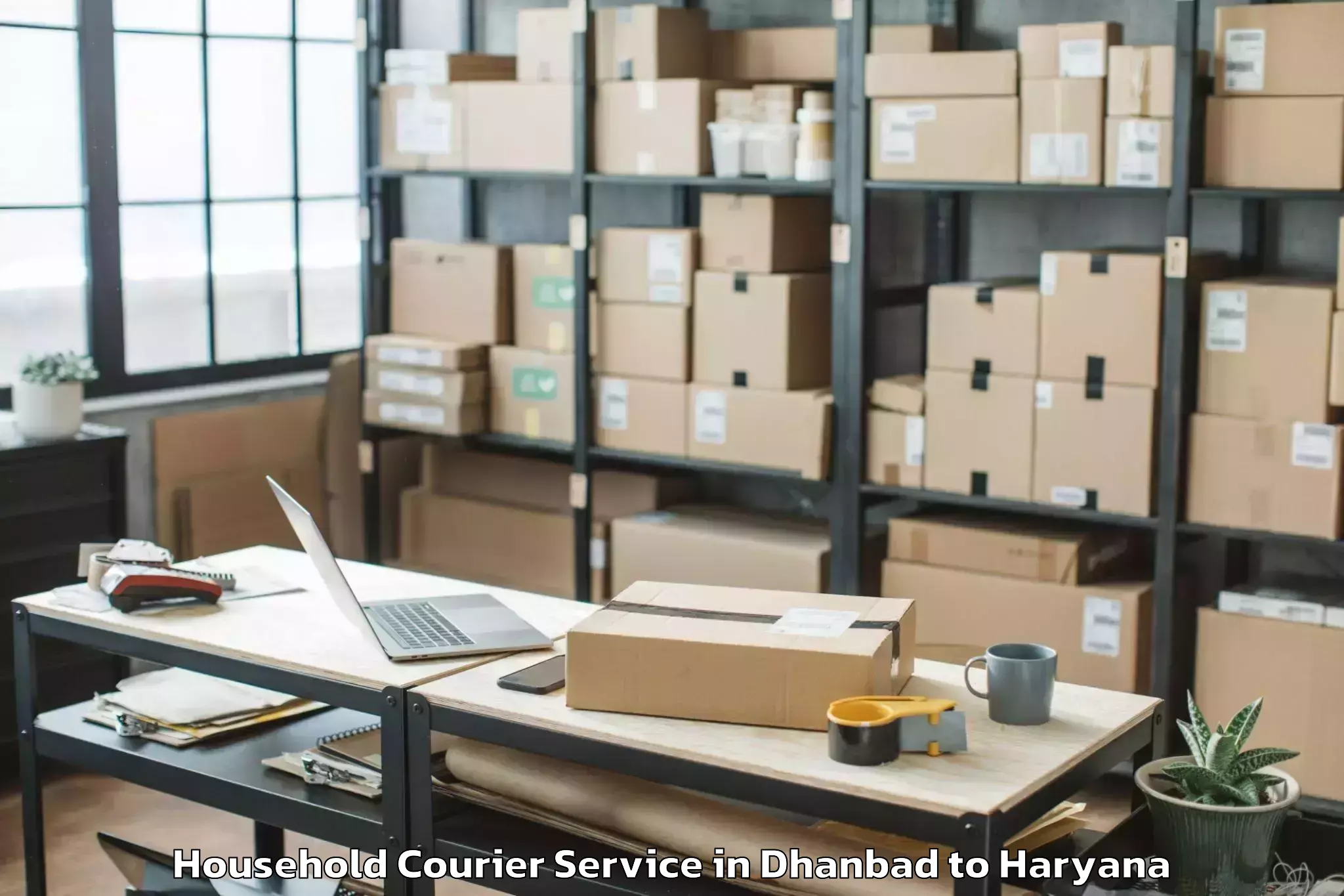 Trusted Dhanbad to Shahbad Household Courier